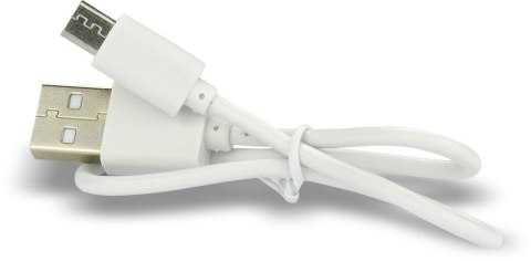 Akumulatorek 16340 / R-CR123 3V everActive 700mAh (1 szt.) z zabezpieczeniem Akumulatorek 16340 / R-CR123 3V everActive 700mAh (1 szt.) z zabezpieczeniem