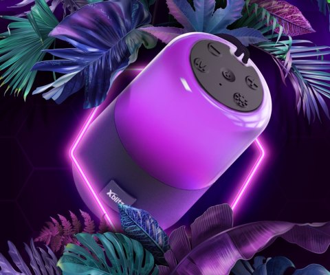 GŁOŚNIK BEZPRZEWODOWY BLUETOOTH XB-MASTER-GO 5 W Xblitz
