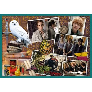 Puzzle - 10w1 - Harry Potter - W świecie Harrego Pottera - Trefl 90392