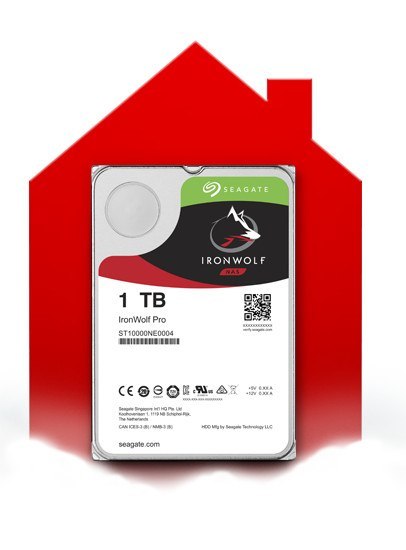 DYSK SEAGATE IronWolf ST1000VN008 1TB
