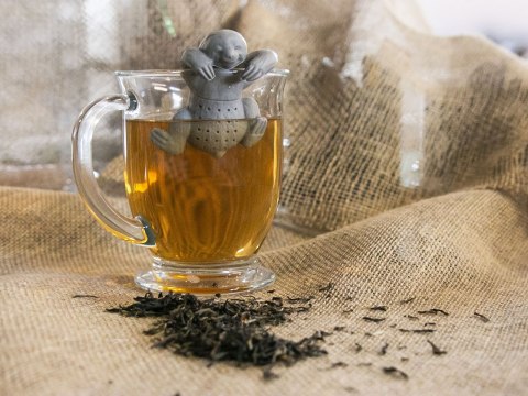 Zaparzacz silikonowy leniwiec