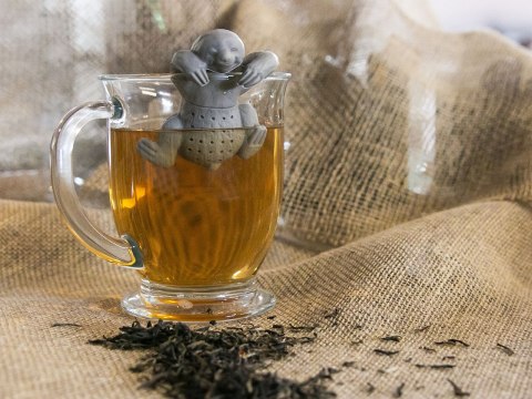 Zaparzacz silikonowy leniwiec