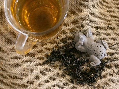 Zaparzacz silikonowy leniwiec