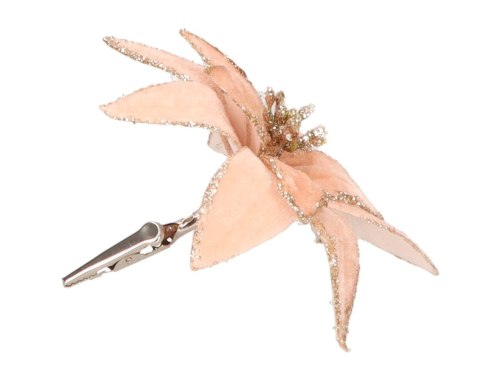 Gwiazda betlejemska na klipsie śr. 13cm