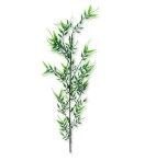 Dodatek gałązka liściasta