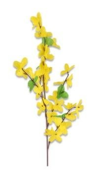 Forsycja gałązka pojedyncza H-54cm