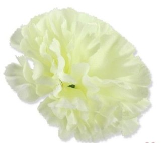 Goździk główka kwiatowa 10cm