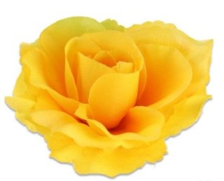 Róża główka kwiatowa gold żółty