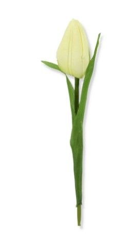 Kremowy tulipan gałązka pojedyncza 50cm ecru