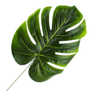 Liść dekoracyjny duży 53cm