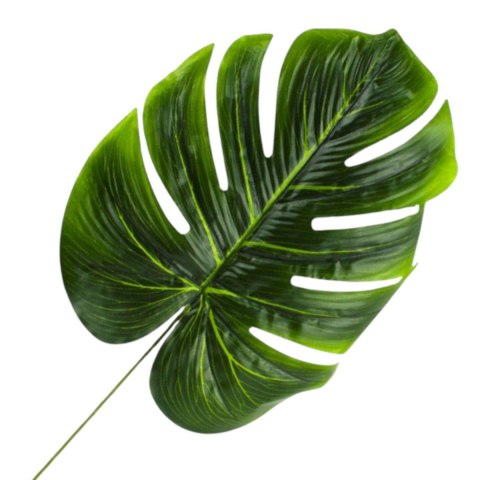 Liść dekoracyjny duży 53cm