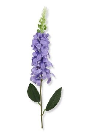 Ostróżka gałązka pojedyncza