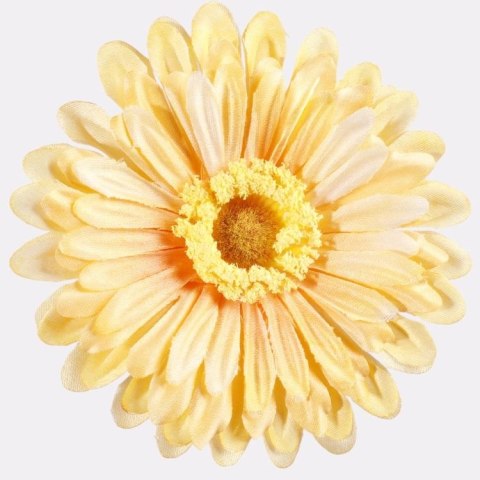 Gerbera gerber zółto-pomarańczowa główka wyrobowa