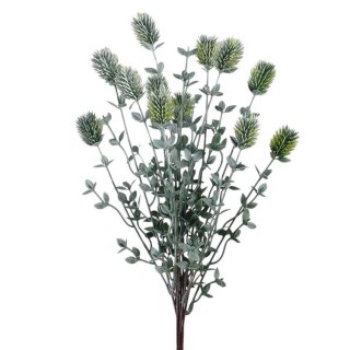 Oset z borówką bukiet 49cm