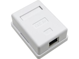 Gniazdo natynkowe STP kat.5e 1xRJ45 ALANTEC