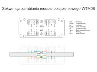 Moduł połączeniowy LSA UTP kat.6 ALANTEC