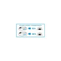 Latarka akumulatorowa Energy+ 18V, Li-Ion, bez akumulatora