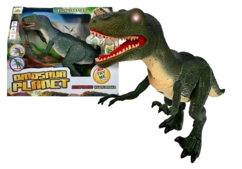 Dinozaur Velociraptor Porusza się Ryczy Świeci Dinozaur Velociraptor Porusza się Ryczy Świeci