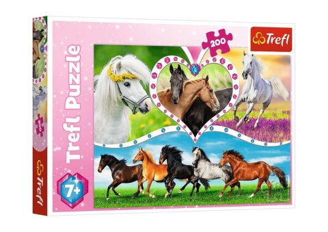 Puzzle - 200 - Piękne konie / Trefl 13248 Puzzle - 200 - Piękne konie / Trefl 13248
