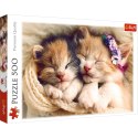 Puzzle 500 el. Śpiące kotki Trefl 37271
