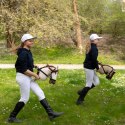 Hobby Horse Skippi A3 - Biszkopt - Jasny beż i brąz - kantar i wodze