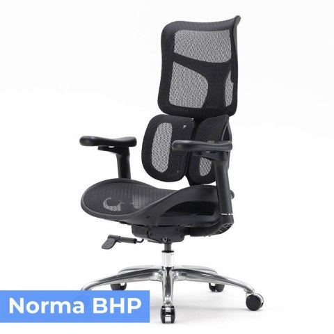 Fotel ergonomiczny ANGEL biurowy obrotowy Astro Fotel ergonomiczny ANGEL biurowy obrotowy Astro
