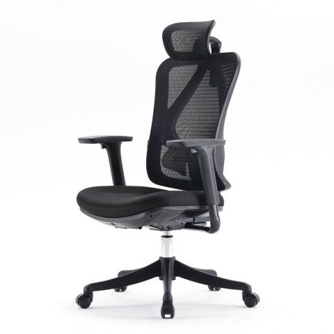 Fotel ergonomiczny ANGEL biurowy obrotowy Europa 2.0 Fotel ergonomiczny ANGEL biurowy obrotowy Europa 2.0
