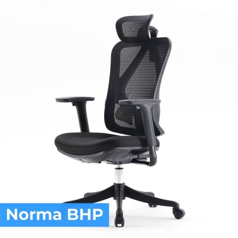 Fotel ergonomiczny ANGEL biurowy obrotowy Europa 2.0 Fotel ergonomiczny ANGEL biurowy obrotowy Europa 2.0