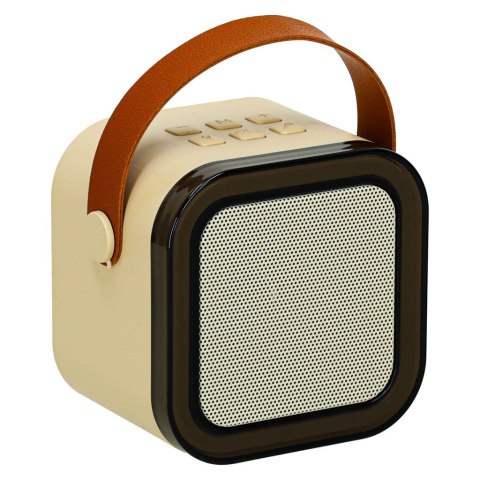 Zestaw do karaoke głośnik Bluetooth 2 mikrofony USB LED 6W beżowy