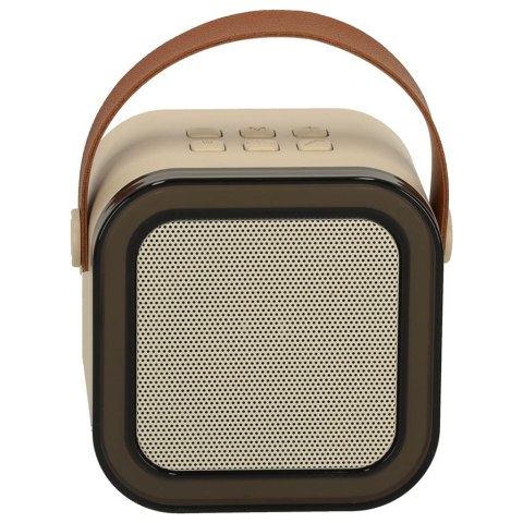 Zestaw do karaoke głośnik Bluetooth 2 mikrofony USB LED 6W beżowy