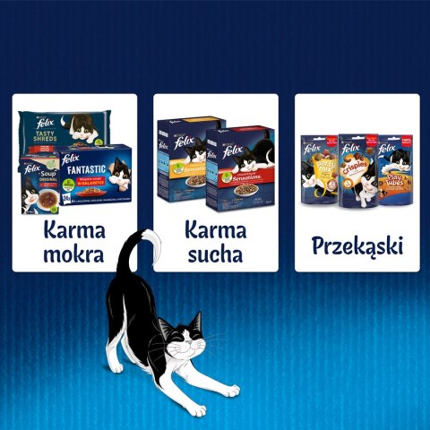 PURINA Felix Fantastic: kurczak - mokra karma dla kota - 85 g PURINA Felix Fantastic: kurczak - mokra karma dla kota - 85 g