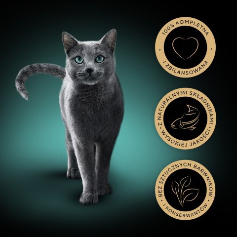 Sheba Delicacy Rybne Smaki w galaretce 80x85g Sheba Delicacy Rybne Smaki w galaretce 80x85g