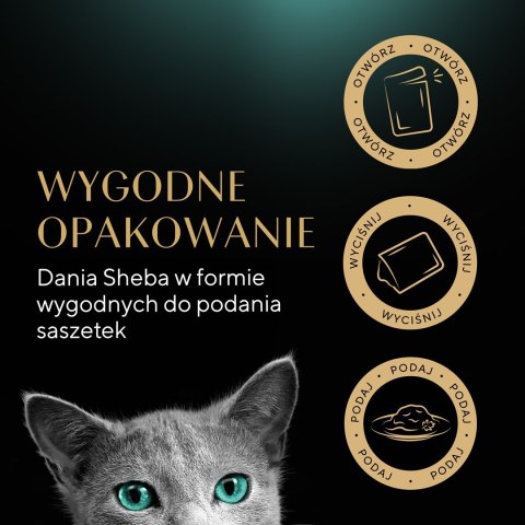 Sheba Delicacy Rybne Smaki w galaretce 80x85g Sheba Delicacy Rybne Smaki w galaretce 80x85g