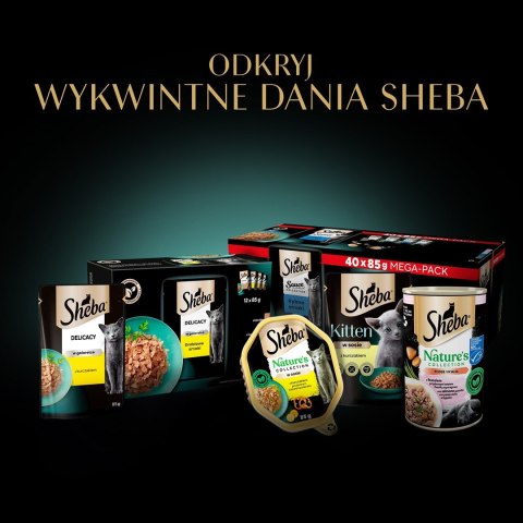 Sheba Delicacy Rybne Smaki w galaretce 80x85g Sheba Delicacy Rybne Smaki w galaretce 80x85g