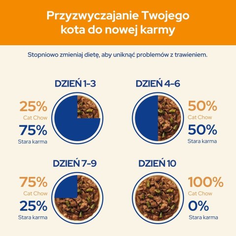 PURINA Cat Chow Jagnięcina, zielona fasolka - mokra karma dla kota - 10x85 g PURINA Cat Chow Jagnięcina, zielona fasolka - mokra karma dla kota - 10x85 g