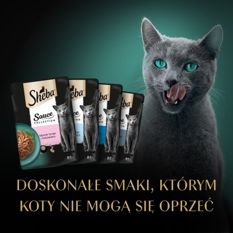 SHEBA Sauce Collection Mix Smaków rybnych w sosie - Mokra karma dla kota - 40x85g SHEBA Sauce Collection Mix Smaków rybnych w sosie - Mokra karma dla kota - 40x85g