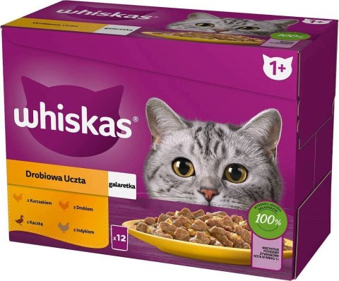Whiskas Drobiowa Uczta w galaretce Adult - mokra karma dla kota - saszetka -12x85 g Whiskas Drobiowa Uczta w galaretce Adult - mokra karma dla kota - saszetka -12x85 g