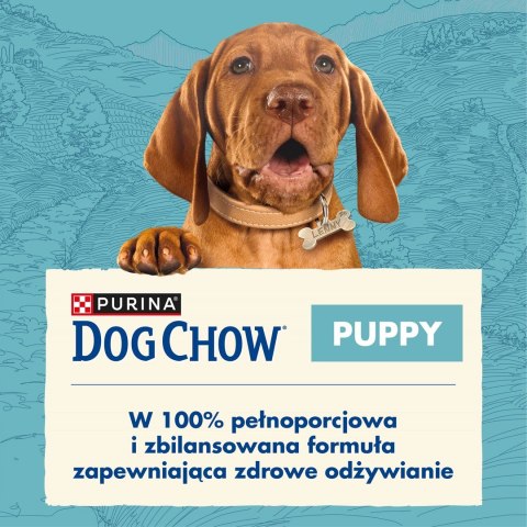 PURINA DOG CHOW Puppy Lamb - sucha karma dla szczeniąt wszystkich ras - 14 kg PURINA DOG CHOW Puppy Lamb - sucha karma dla szczeniąt wszystkich ras - 14 kg