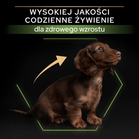 PURINA PRO PLAN Puppy Small & Mini - sucha karma dla szczeniąt - 7kg PURINA PRO PLAN Puppy Small & Mini - sucha karma dla szczeniąt - 7kg