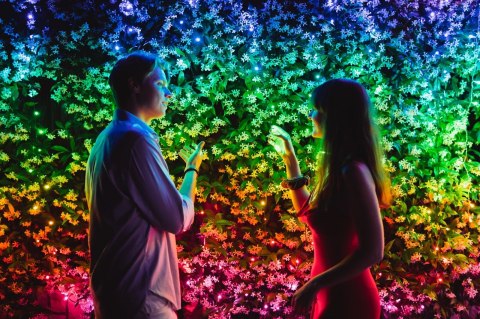 Inteligentne lampki choinkowe Twinkly 250 RGB 20m Inteligentne lampki choinkowe Twinkly 250 RGB 20m