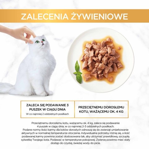 Gourmet Gold Sauce Delights mokra karma dla kota z kurczakiem 85 g Gourmet Gold Sauce Delights mokra karma dla kota z kurczakiem 85 g