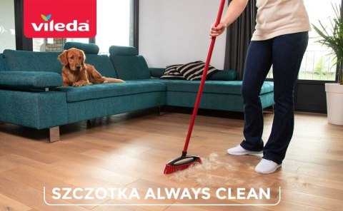 Szczotka do zamiatania sierści i włosów Vileda Always Clean PET PRO Szczotka do zamiatania sierści i włosów Vileda Always Clean PET PRO