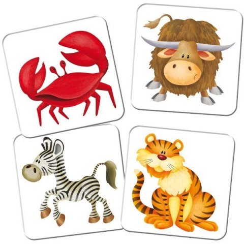 Gra kuferek zoo memory Gra kuferek zoo memory