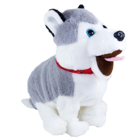Maskotka interaktywna figo pies reagujący na komendy husky Maskotka interaktywna figo pies reagujący na komendy husky