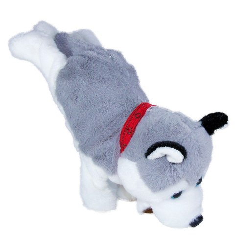 Maskotka interaktywna figo pies reagujący na komendy husky Maskotka interaktywna figo pies reagujący na komendy husky