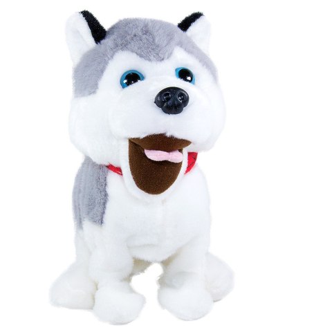 Maskotka interaktywna figo pies reagujący na komendy husky Maskotka interaktywna figo pies reagujący na komendy husky