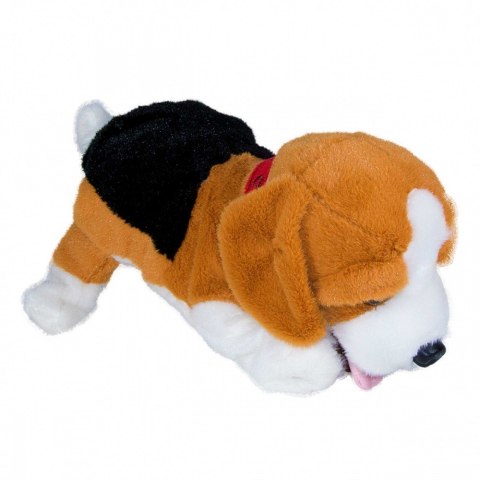 Maskotka interaktywna figo pies reagujący na komendy beagle Maskotka interaktywna figo pies reagujący na komendy beagle