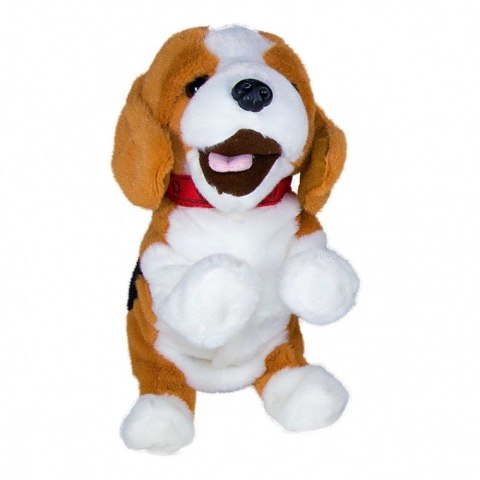 Maskotka interaktywna figo pies reagujący na komendy beagle Maskotka interaktywna figo pies reagujący na komendy beagle