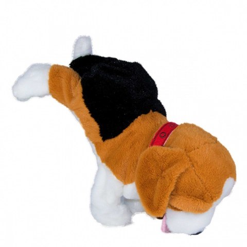 Maskotka interaktywna figo pies reagujący na komendy beagle Maskotka interaktywna figo pies reagujący na komendy beagle