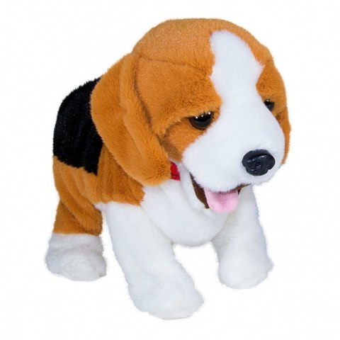 Maskotka interaktywna figo pies reagujący na komendy beagle Maskotka interaktywna figo pies reagujący na komendy beagle